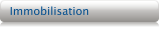 Immobilisation