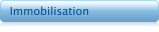 Immobilisation